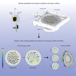 GAUSS-EM, guided accumulation of ultrathin serial sections with a static magnetic field for volume electron microscopy
